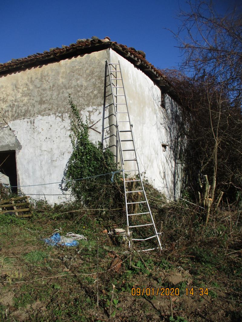 Une échelle contre un angle de vieux mur.